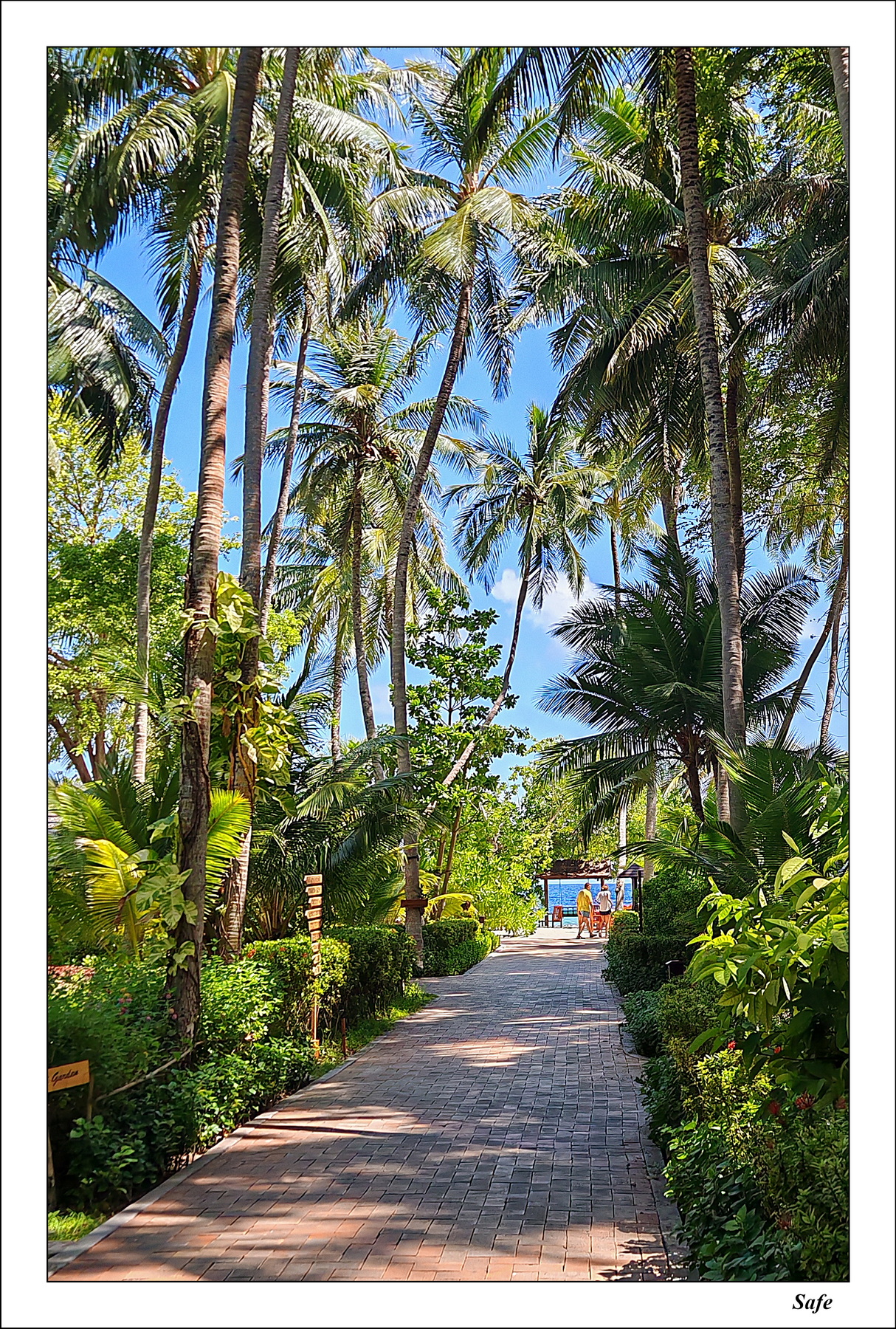 2026 - 07 - Royal Island Resort - 22
